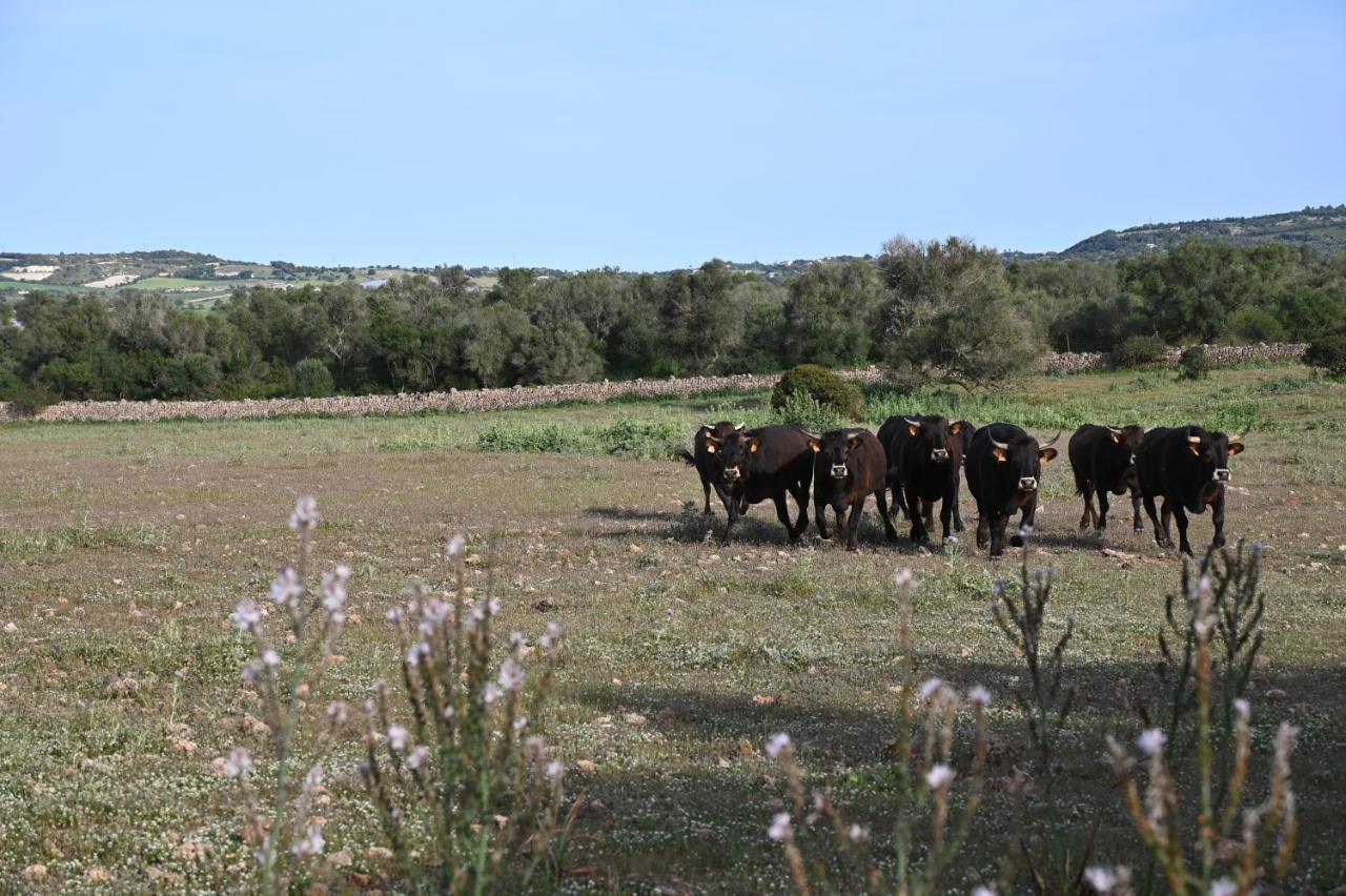 מנקור Finca Sa Cova Vella מראה חיצוני תמונה