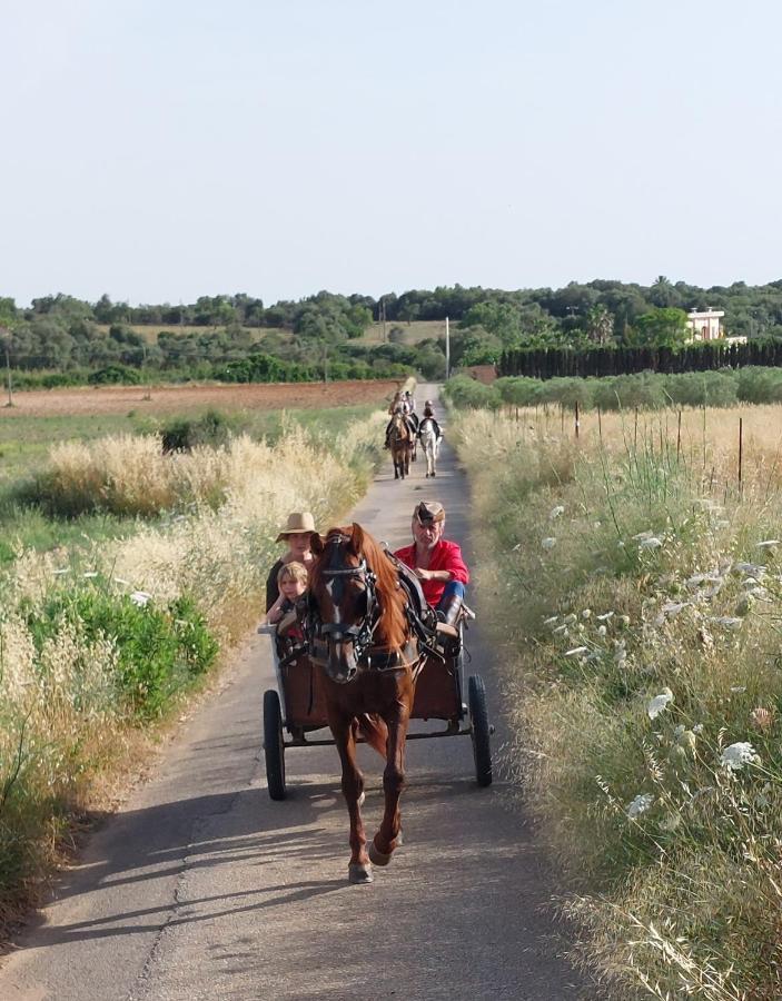 מנקור Finca Sa Cova Vella מראה חיצוני תמונה