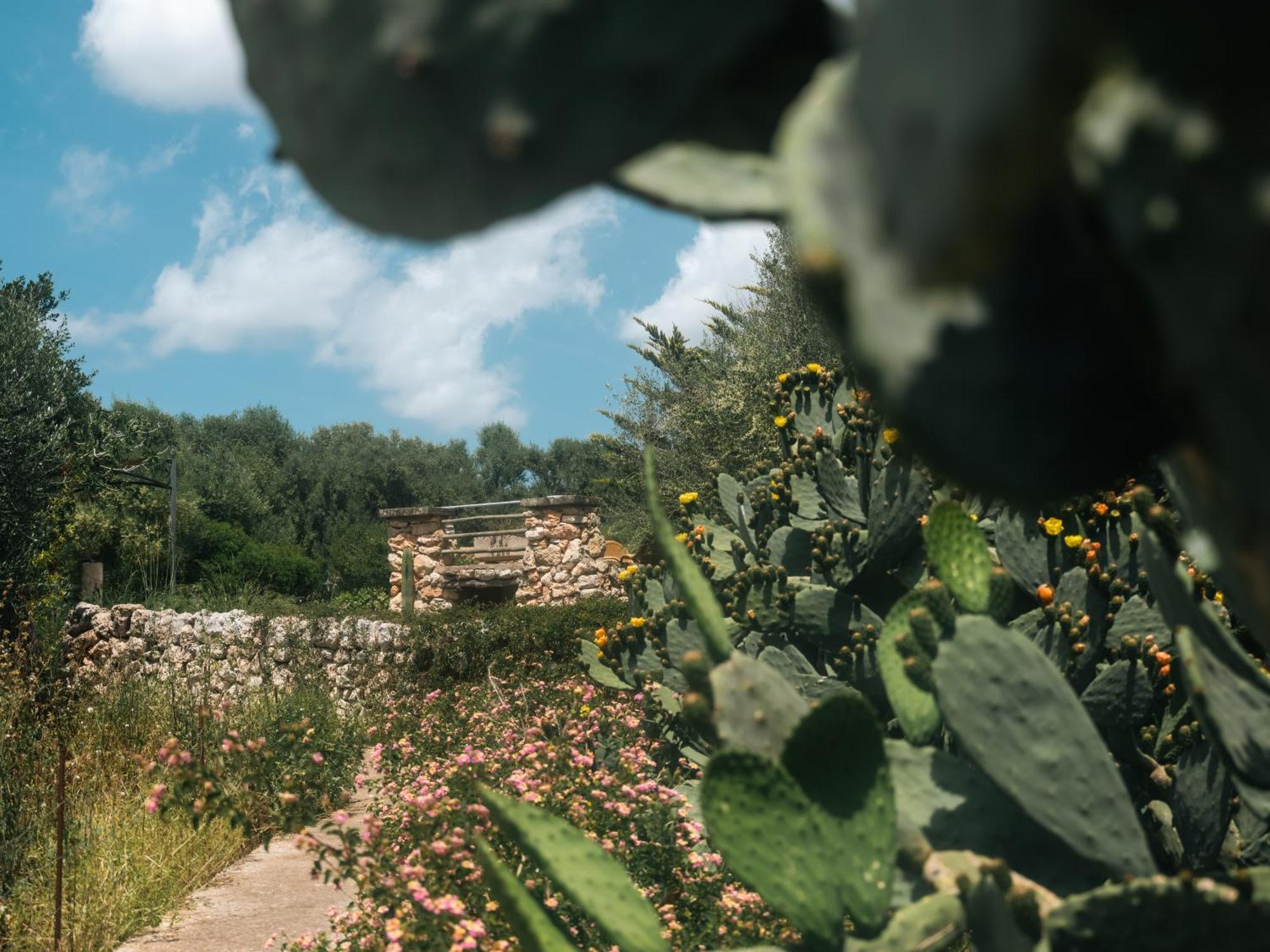 מנקור Finca Sa Cova Vella מראה חיצוני תמונה
